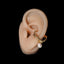 Ascaris ring / earcuff pearl edition
